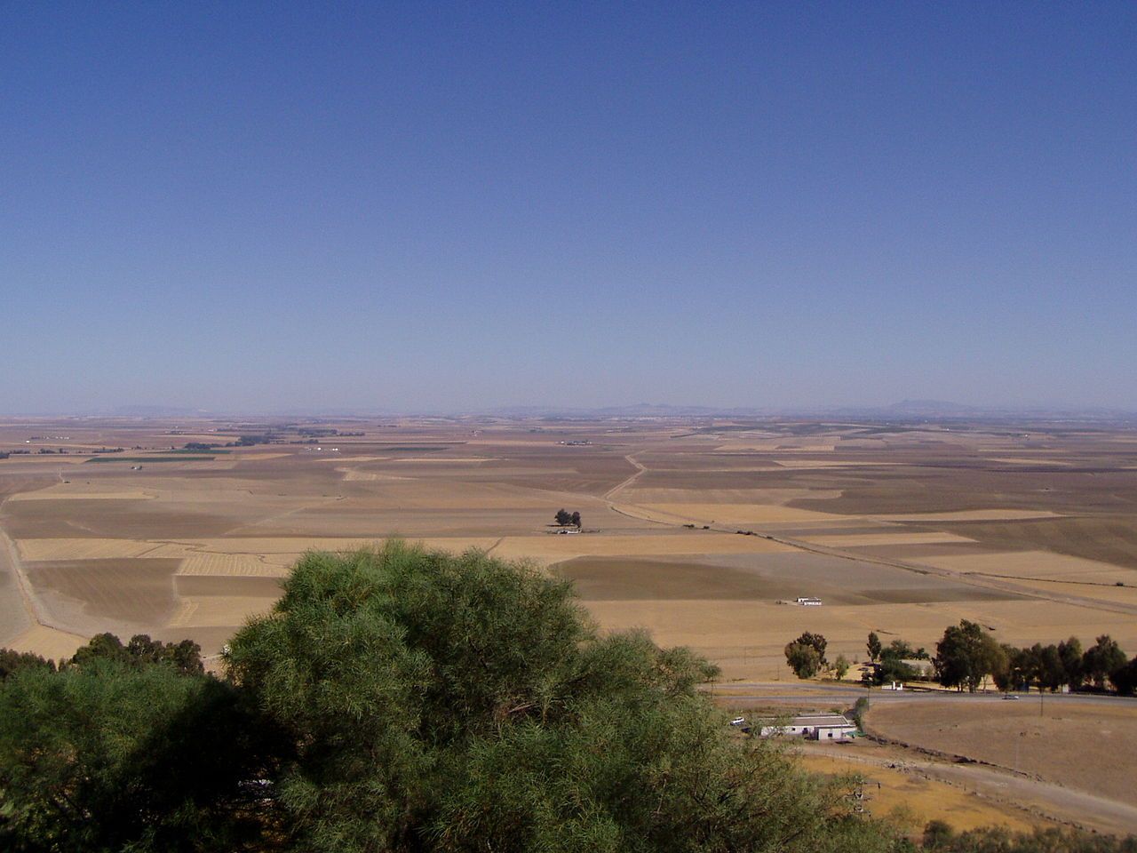 Landschap bij Carmona - Fly-drive Landelijk Andalucia